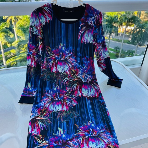 ROBERTOCAVALLI  GORGEUS COLOURS  dress. Excellent condition .size 38 - Picture 4 of 11